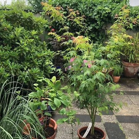Beautiful New Central 3 Bedroom For 6 Guests * Dusseldorf
